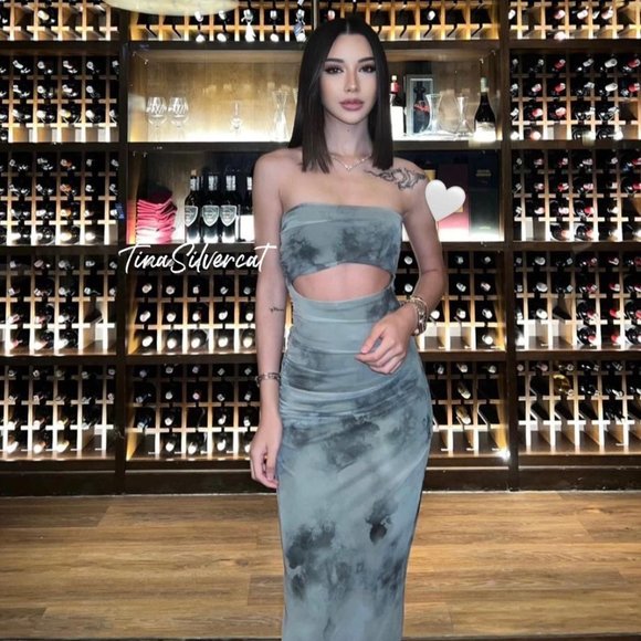 BLOGGER'S FAVE! Zara Strapless Tulle Dress NWT - Picture 10 of 16